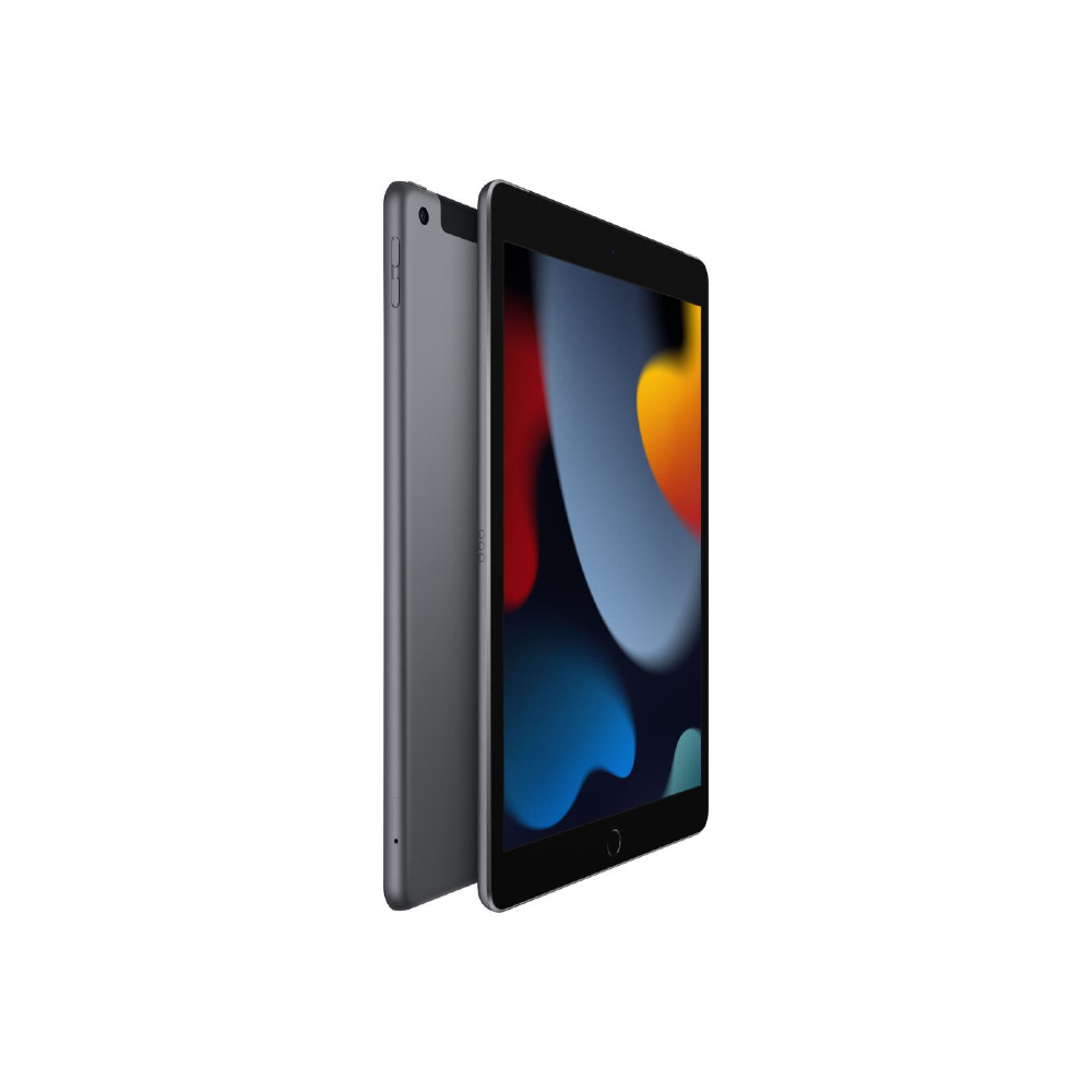 Apple - 10.2-inch iPad Wi-Fi + Cellular 256GB - Space Grey - MK4E3HC/A