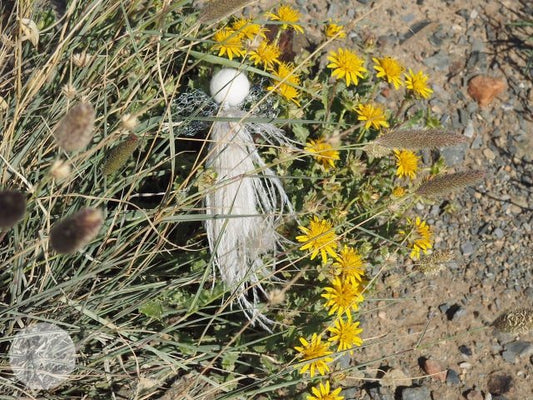 Karoo Angels - Elsie Cream