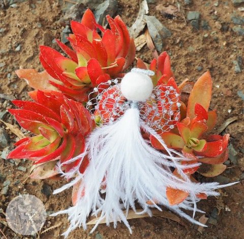 Karoo Angels - Hanna