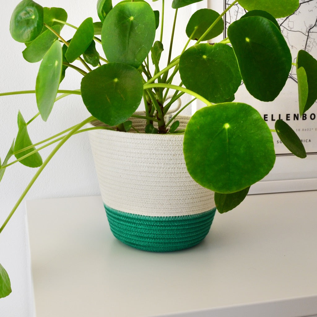 Planter Basket - Green Block