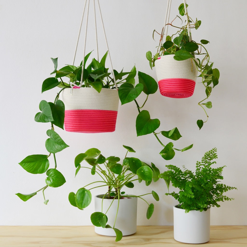 Hanging Planter - Flamingo Pink Only