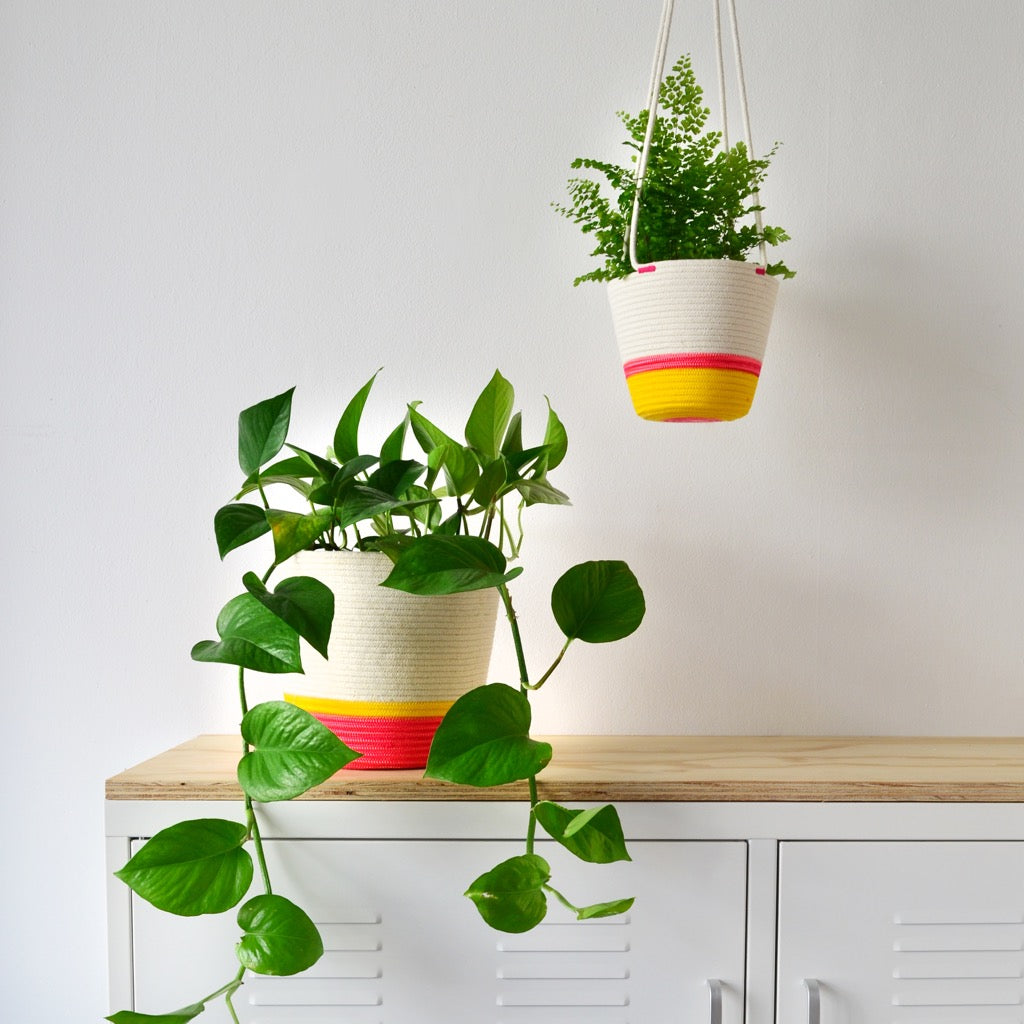 Hanging Planter - Flamingo Pink & Yellow