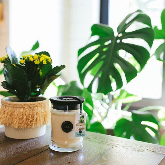Bridgewater Candle Company Candles Scented Candle by Bridgewater - On Island Time Large Jar Candle