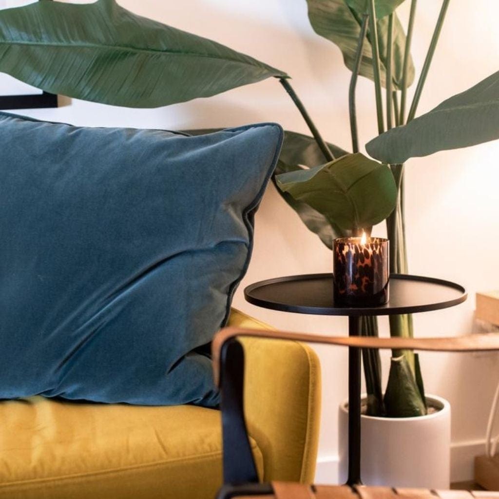 Votivo Timeless Tortoise Candle - Red Currant Collection