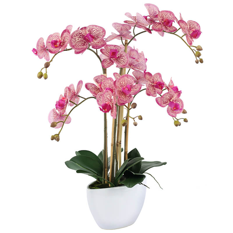 Artificial Pink Fuchsia Orchids in White Pot - 66cm