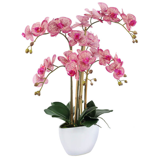 Artificial Pink Fuchsia Orchids in White Pot - 66cm