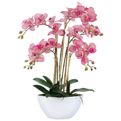 Artificial Pink Fuchsia Orchids in White Pot - 66cm