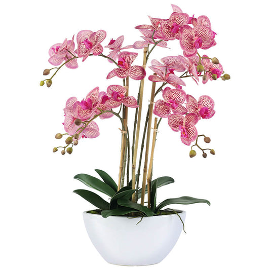 Artificial Pink Fuchsia Orchids in White Pot - 66cm