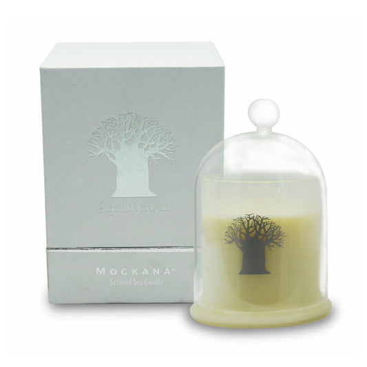 300ml-soy-candle-sugared-grapefruit-in-reusable-glass-dish-in-luxury-box