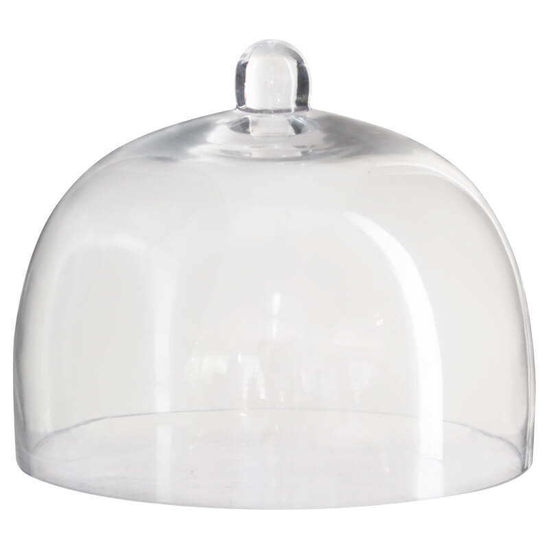 Mini Glass Dome / Cloche