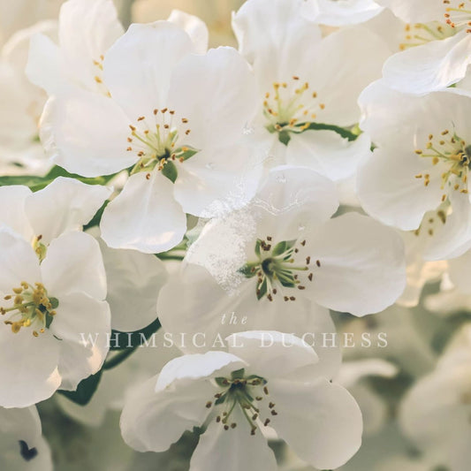 Crabapple White Japanese Apron