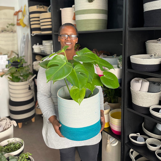 Cylinder Basket XL - Teal - SALE