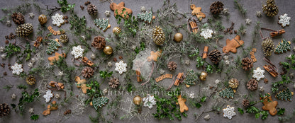 It's Beginning To Look A Lot Like Christmas Felt on Vinyl Rectangular Placemats