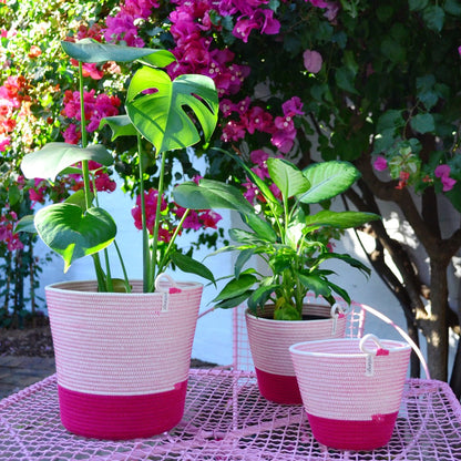 Planter Basket - Fuchsia