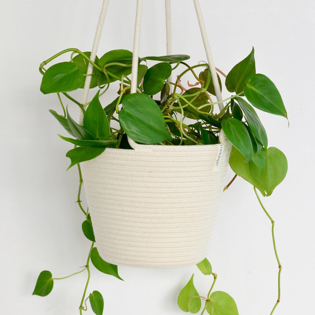 Hanging Planter - Ivory