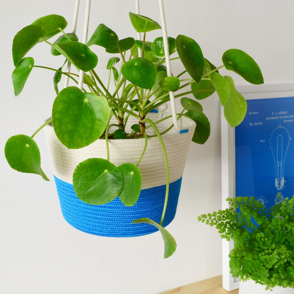 Hanging Planter - Ocean Blue Only