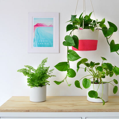 Hanging Planter - Flamingo Pink Only