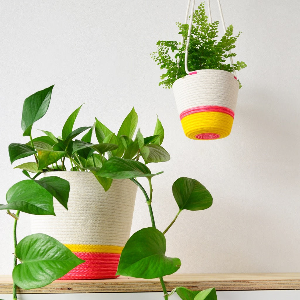 closed mondays hanging planter Hanging Planter - Sunrise Yellow