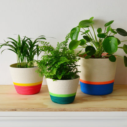 Planter Basket - Ocean Blue & Neon Orange