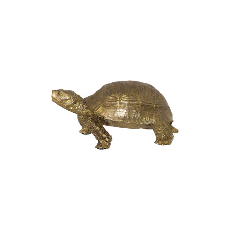 Gold Tortoise 18x8.5cm