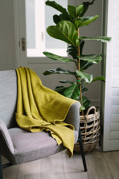 Waffle Weave Citron Turkish Towel