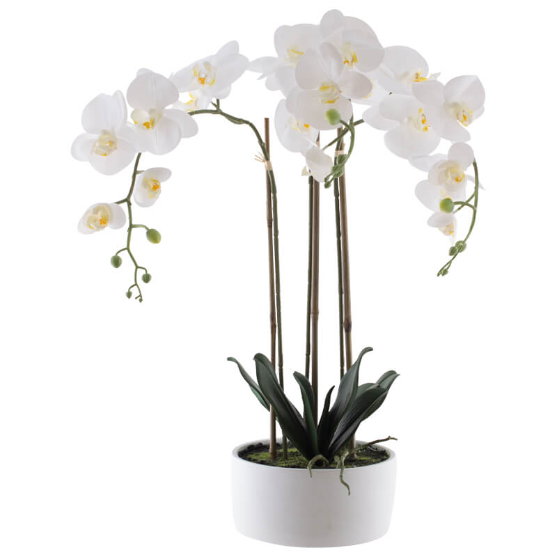 Real Touch White Orchid In Pot 60