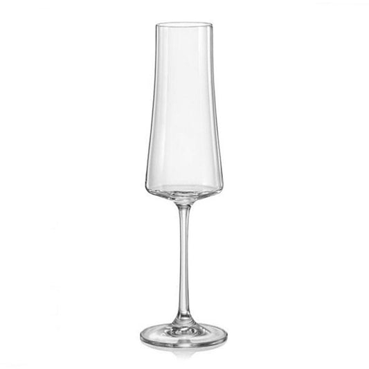 Xtra Champagne Flute (210 ml) (Set of 6)