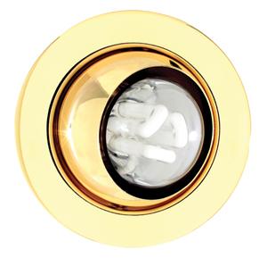 Eurolux - (Discontinued) Eyeball Downlight 140mm P/Brass