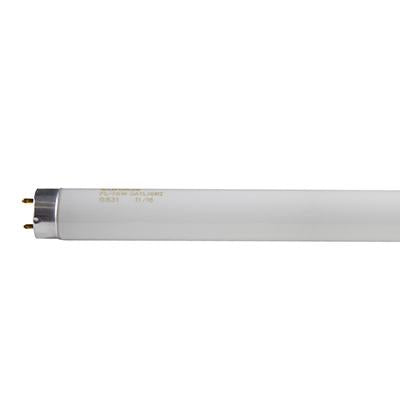 Eurolux - 2FT T8 Fluorescent G13 18w DayLight