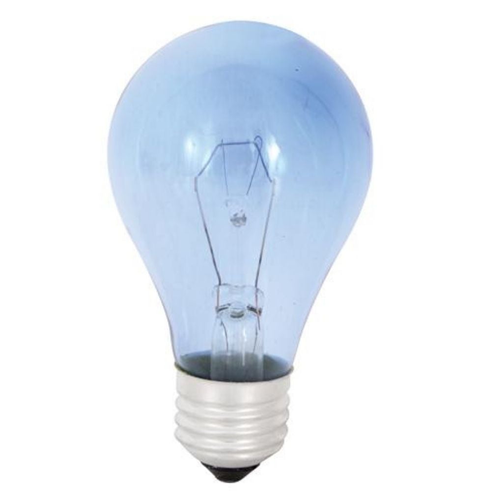 Eurolux Lighting: Lamps Eurolux - Daylight Blue 60w E27 240V - Lighting, Lights - G57