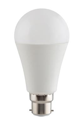 Eurolux - LED A60 15w B22 15w Cool White Globe Opal