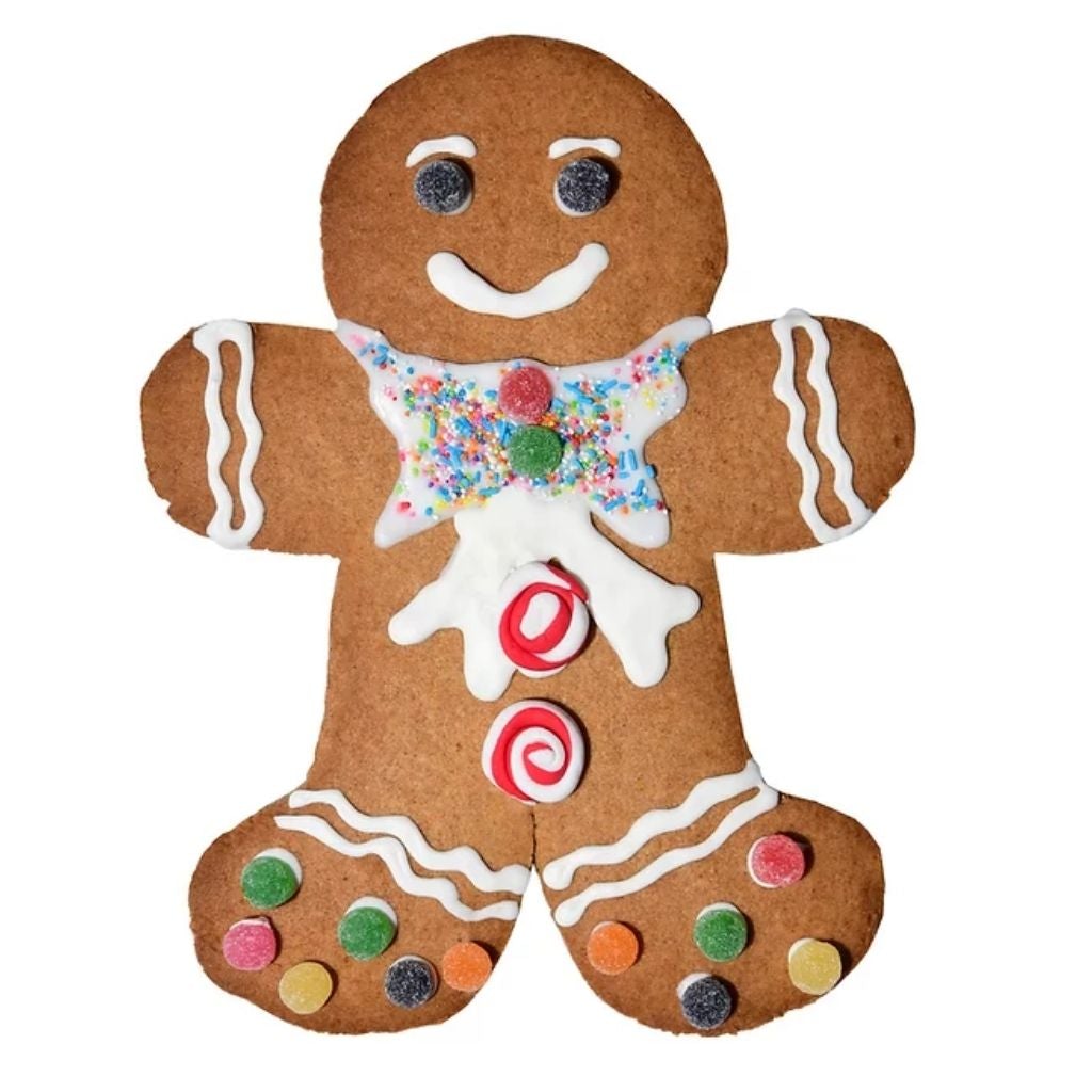 Gingerbread House Kits SA Cookie Decorating Kits Giant Gingerbread Man & Gingerbread House Decorating Kit Combo