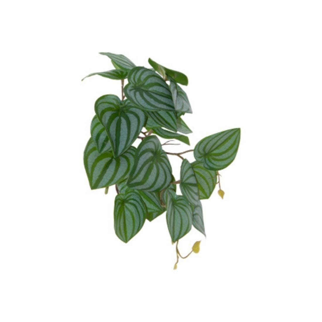 Pothos Plant Leaf Stem 23cm