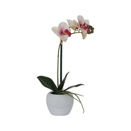 White and Pink Orchid 51cm