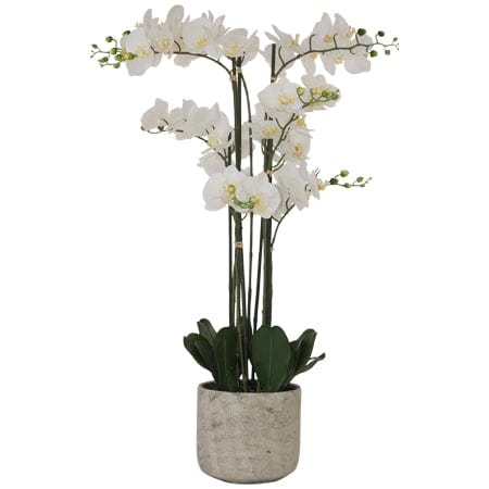 White Orchid - Artificial 105 cm