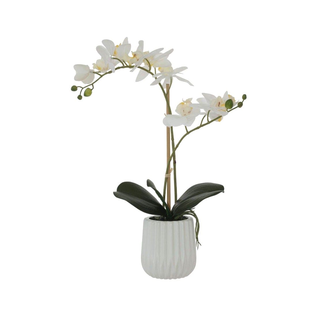 White Orchid in a white ceramic pot (Artificial) (53cm)