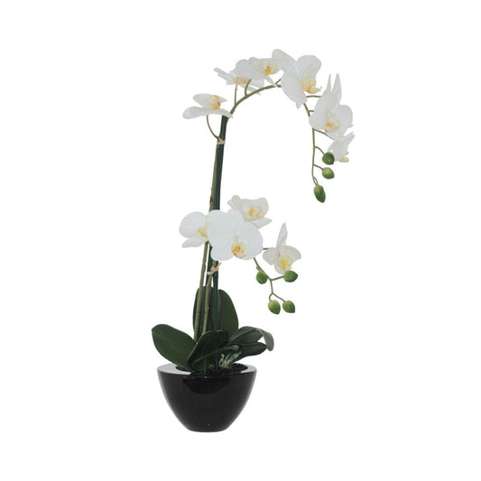 White Orchid In Black Pot (Artificial) (50cm)