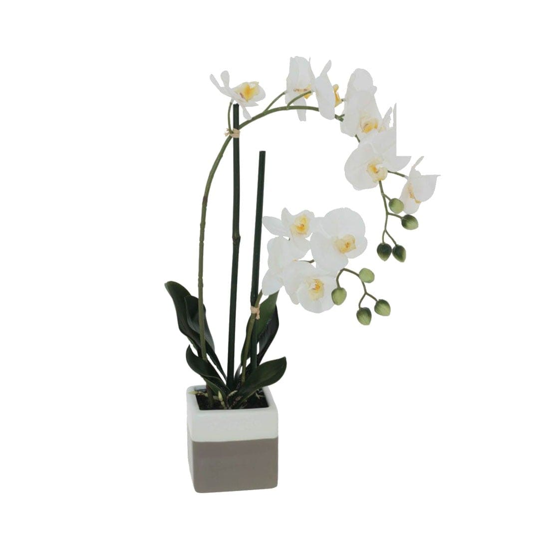 White Artificial Orchid In White and Beige Painted Pot - 51cm