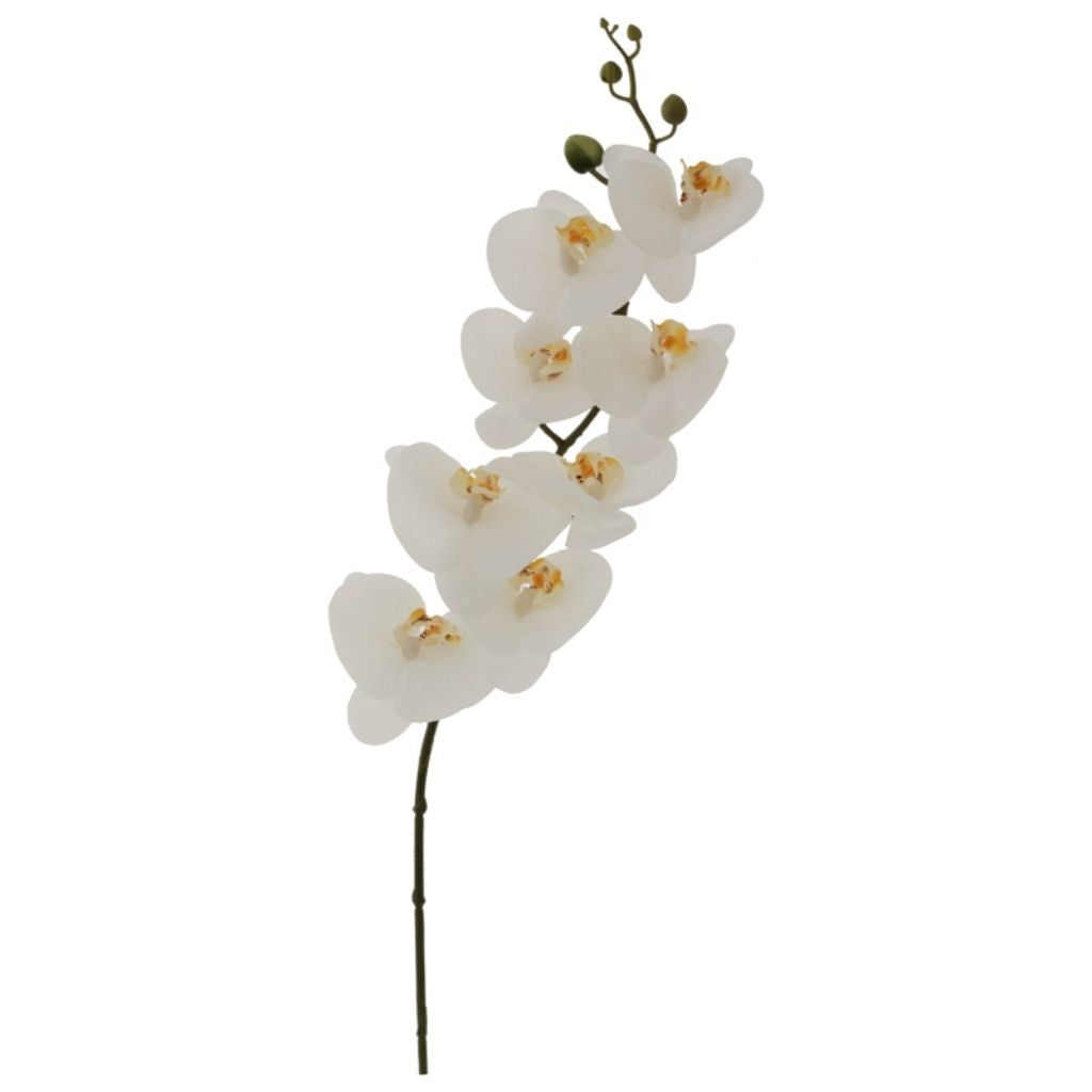 Artificial Stem with White Orchid Flowers - (88cm)