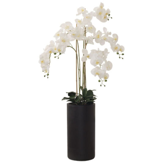 White Real Touch Orchid (135 cm)