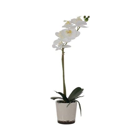 White Real Touch Orchid 43cm