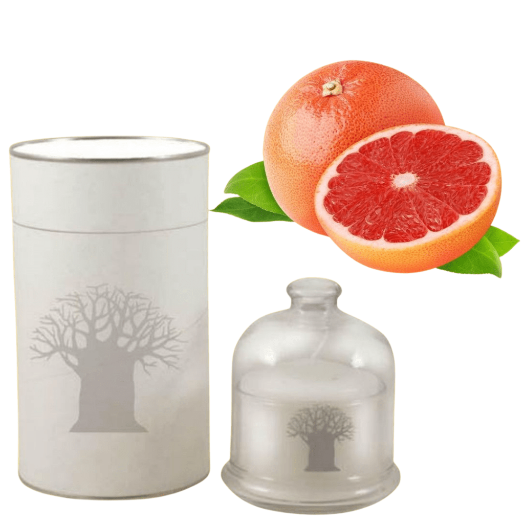 Scented Candle in reusable glass dome - Sugared Grapefruit - Mockana