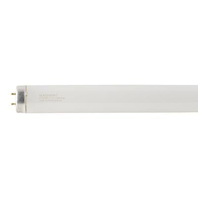 Radiant - Fluorescent Tube T12 G13 20w 4000K - RLF61