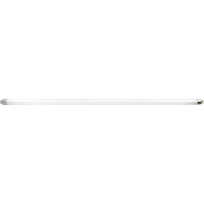 Radiant - Fluorescent Tube T5 G5 H/E TPH 14w 4000k 549mm - RLF67