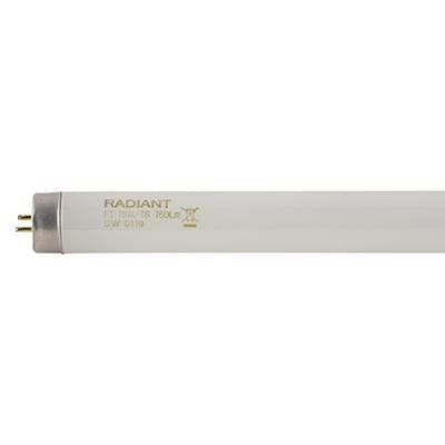 Radiant - Fluorescent Tube T8 G13 15w Cool White - RLF47