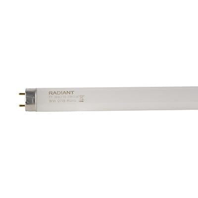 Radiant - Fluorescent Tube T8 G13 36w 3000K - RLF56