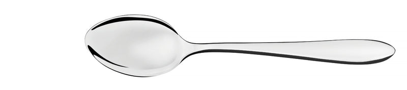 Dessert Spoon - Satri - Tramontina