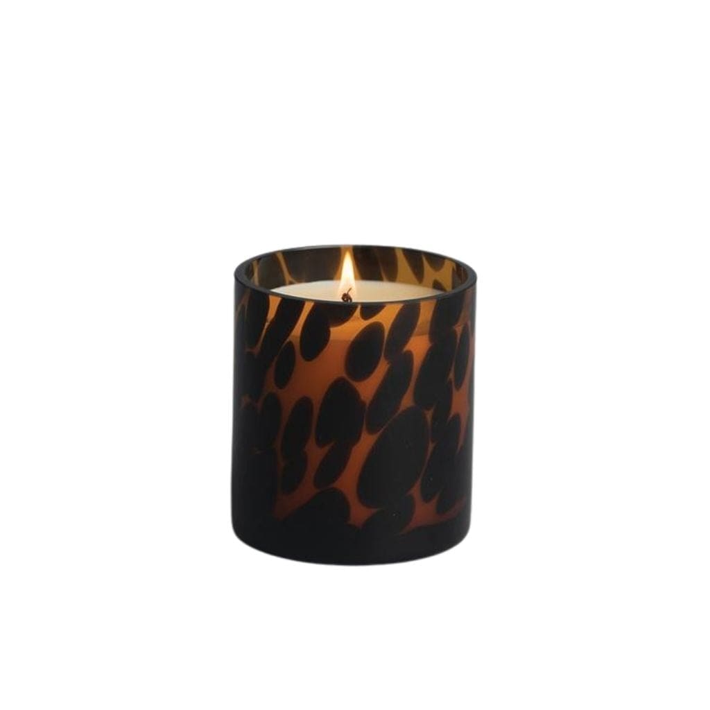 Votivo Timeless Tortoise Candle - Red Currant Collection – iHouzit