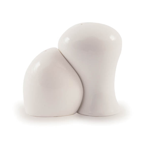 Unique white Porcelain Salt and Pepper Shaker